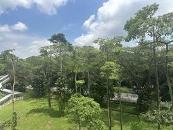 Blk 124 Simei Street 1 (Tampines), HDB 4 Rooms #578391281